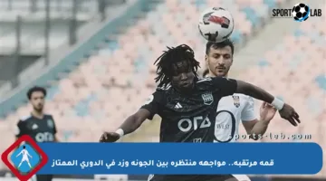 قمة مرتقبة.. مواجهة منتظرة بين الجونة وزد في الدوري الممتاز